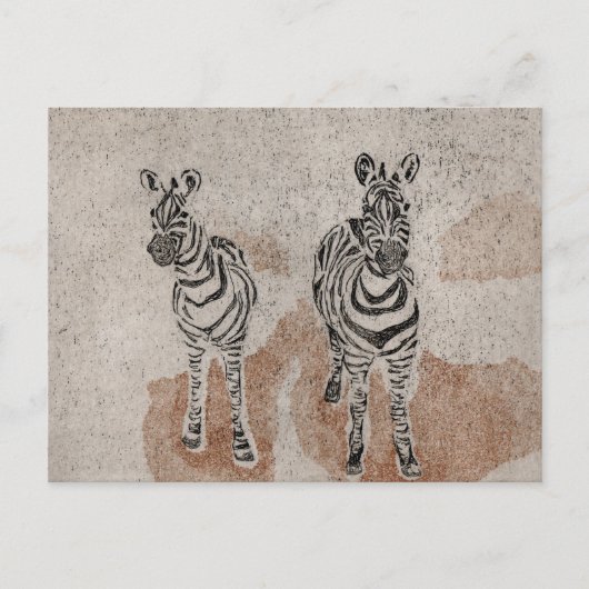 Zebras Briefkaart (Voorkant)