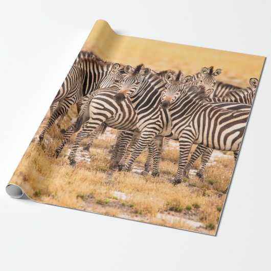 ZEBRAS CADEAUPAPIER (Uitgerold)