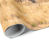 ZEBRAS CADEAUPAPIER (Rol Hoek)