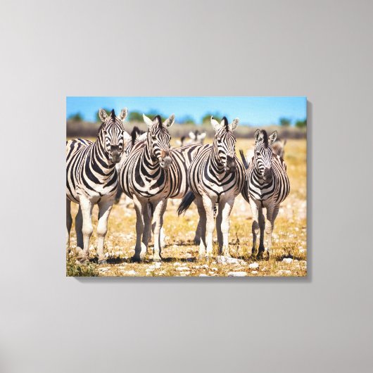 Zebras Canvas Afdruk (Voorkant)