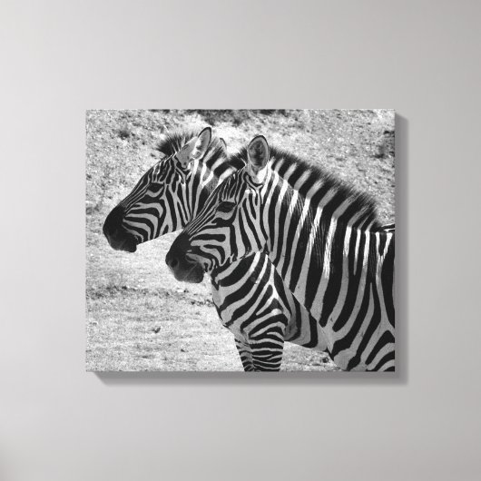 Zebras Canvas Afdruk (Voorkant)