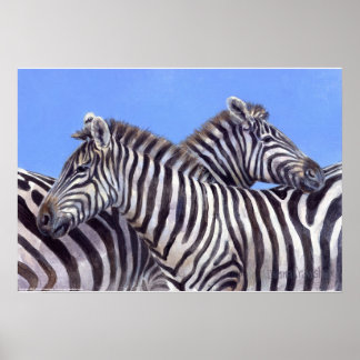 Zebras door Donna Crawshaw Poster