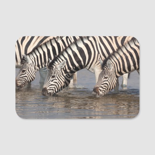 Zebras drink naamplaatje (Voorkant)