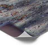 Zebras Foto Poster (Hoek)