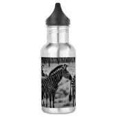 Zebras in Afrika Olieverf, waterfles (Links)