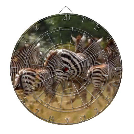 Zebra's in beweging: een reis van duizend mijl dartbord (Voorkant)