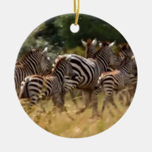 Zebra's in beweging: een reis van duizend mijl keramisch ornament