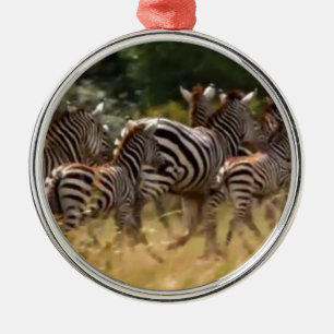 Zebra's in beweging: een reis van duizend mijl metalen ornament