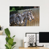 Zebras in een rij poster (Thuiskantoor)