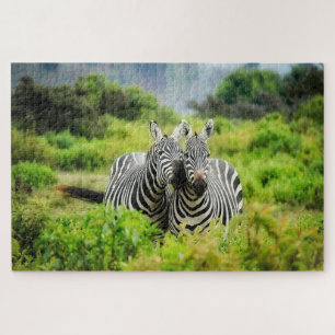 Zebras in het wild legpuzzel