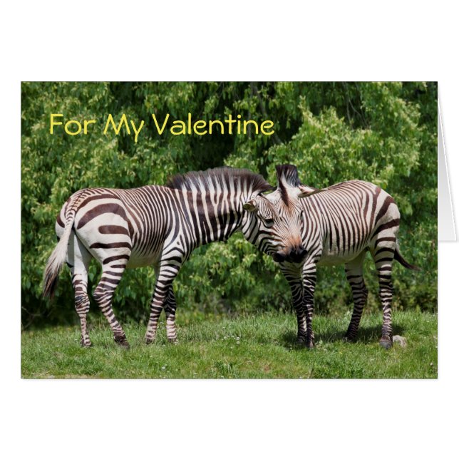 Zebras in Love Valentine's Card (Devant horizontal)