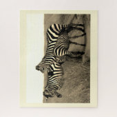 Zebras Legpuzzel (Verticaal)