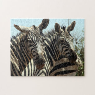 zebras legpuzzel