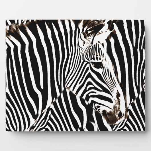 Zebras love_ fotoplaat (Voorkant)