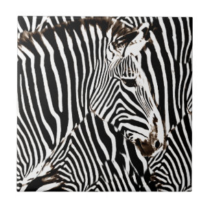 Zebras love_ tegeltje