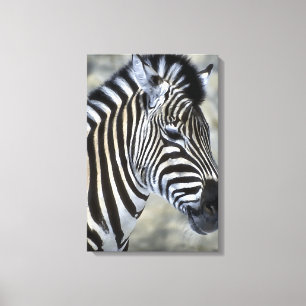 Zebras Lovers Art Canvas Afdruk