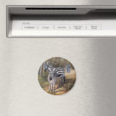 Zebras Magnet (In Situ (Lave-vaisselle))