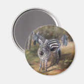 Zebras Magnet Magneet (Voorkant / Achterkant)