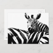 Zebras Modern Black&White Pop Art Afbeelding Sjabl Briefkaart (Voorkant / Achterkant)
