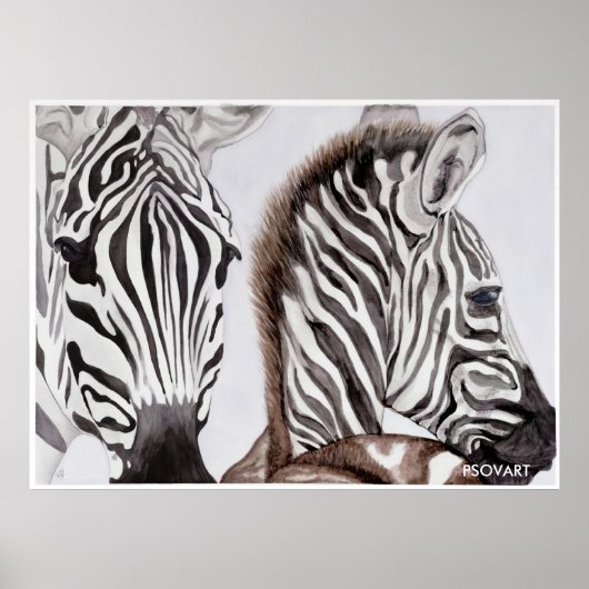 Zebras Moeder en Kind Poster (Voorkant)