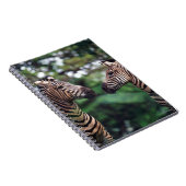 zebras notitieboek (Rechterzijde)