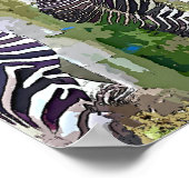 ZEBRAS POSTER (Hoek)