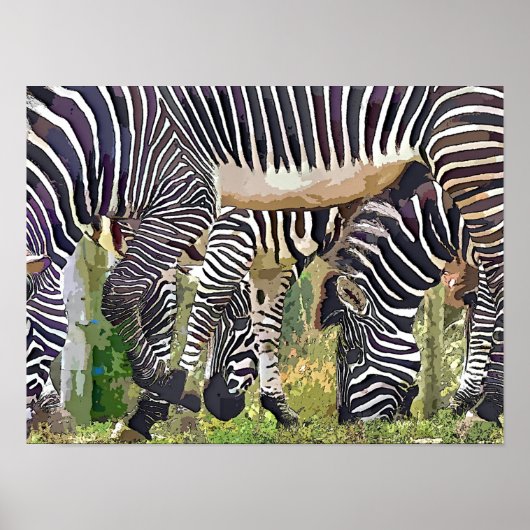 ZEBRA'S POSTER (Voorkant)