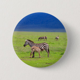 Zebras Ronde Button 5,7 Cm
