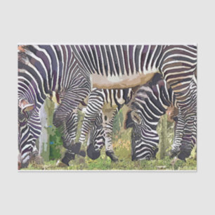 ZEBRAS TISSUEPAPIER