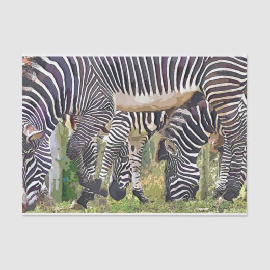 ZEBRAS TISSUEPAPIER (Voorkant)