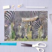 ZEBRAS TISSUEPAPIER (Craft)