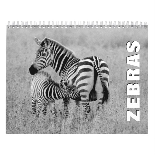 Zebras Wall Agenda Kalender (Hoes)