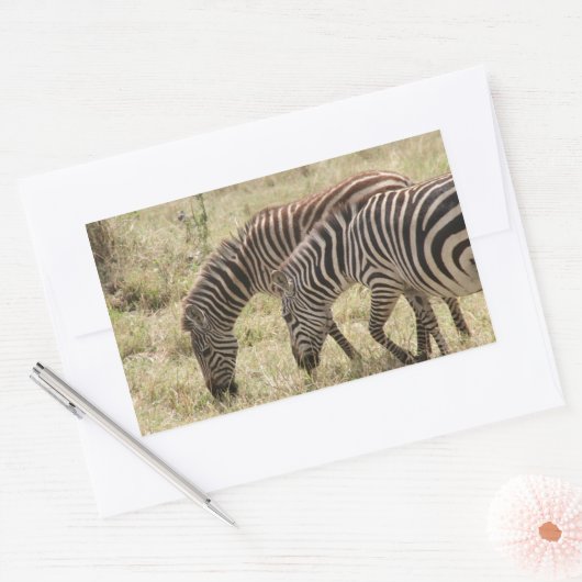 zebrasgras rechthoekige sticker (Envelop)