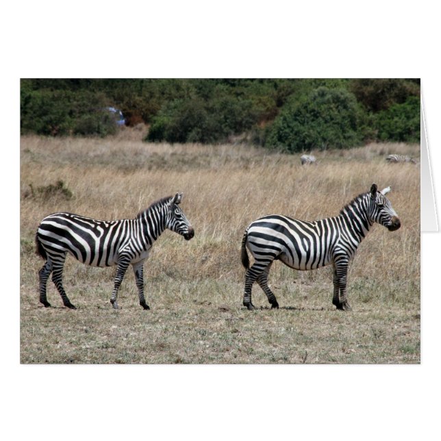 zebrastandaard (Voorkant Horizontaal)