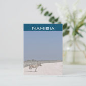 Zèbre, carte postale de Namibie (Debout devant)