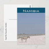 Zèbre, carte postale de Namibie (Devant / Derrière)