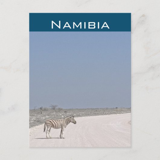Zèbre, carte postale de Namibie (Devant)