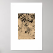 Zebrix Poster (Voorkant)