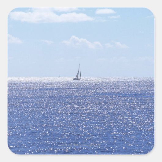 ZEE 6 VIERKANTE STICKER (Voorkant)