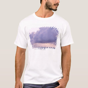 Zee 9 t-shirt