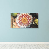 Zee Anemone Canvas Afdruk (Insitu (Houten vloer))