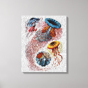 Zee Anemone Canvas Afdruk