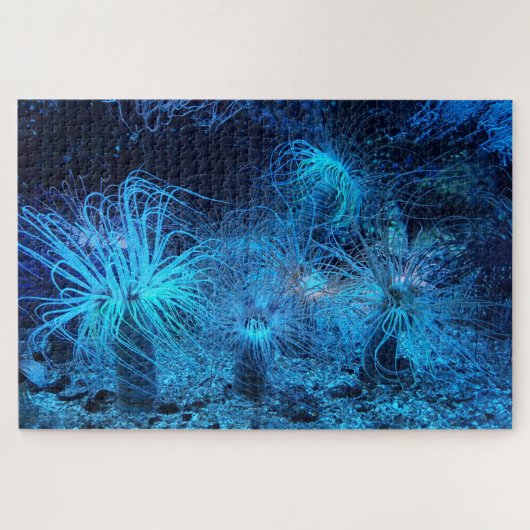 Zee Anemone en Coral Reef Legpuzzel (Horizontaal)