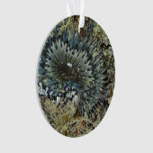 Zee Anemone-kerstversiering Ornament (voorkant)
