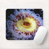 Zee Anemone Muismat (Met muis)