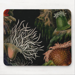 Zee Anemone Nautical SeaLife Mousepad Desk/Kantoor Muismat