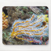 Zee Anemone on a Rock Muismat (Voorkant)