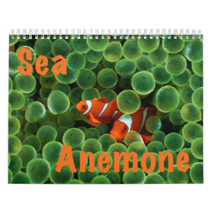 Zee Anemone Wall Agenda Kalender