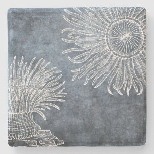 Zee Anemone Waterverf Twilight Ocean Blue White Stenen Onderzetter