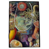 Zee Anemone Wetenschappelijke Natuur Oceaan Medium Cadeauzakje (Voorkant)